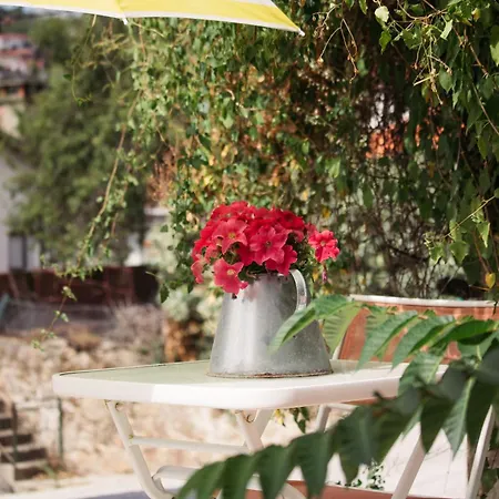 Chalet Mourisco Alijo